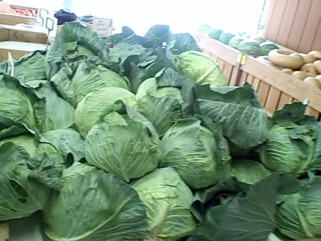 Cabbages seen on the Vegetarian Gazette